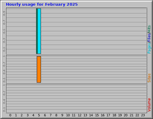 Hourly usage for February 2025